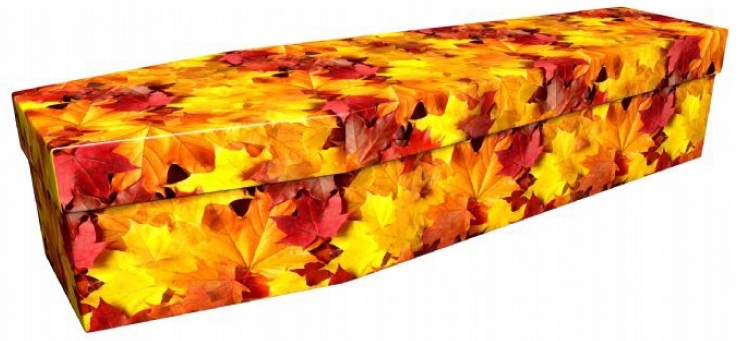 funerals-totnes-devon-coffins-cardboard-autumn-leaves