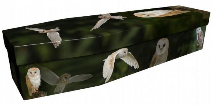 funerals-totnes-devon-coffins-cardboard-owl