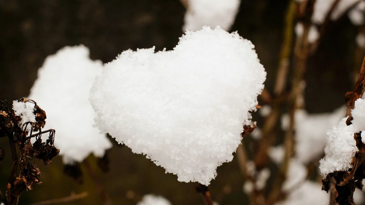 navigating-grief-and-loss-on-valentines-day